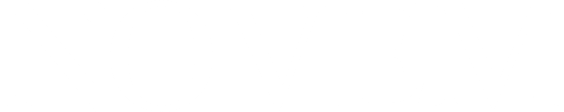 Logo Novem version blanche